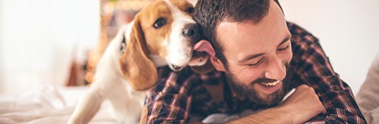 Hundesitter auf einem bett mit einem Hund